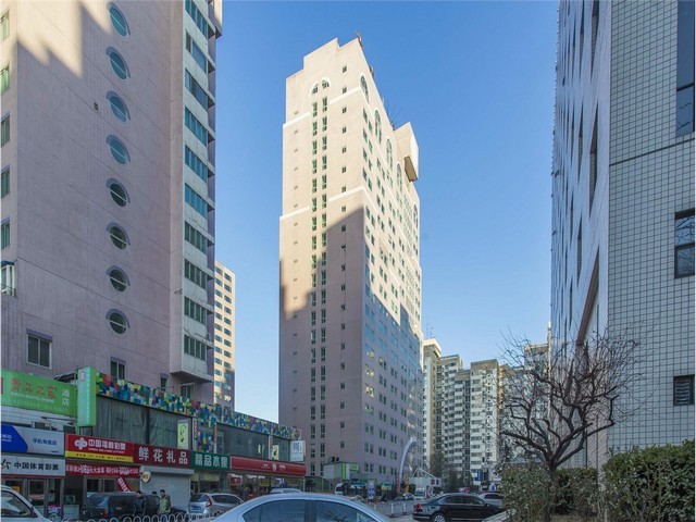 四川名家斫琴用的什么材料